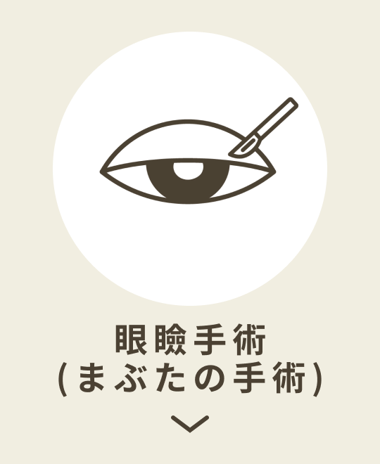 眼瞼手術
(まぶたの手術)